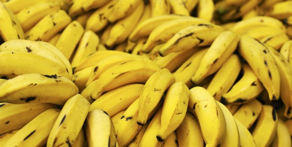 La exportación de plátanos crece un 34%