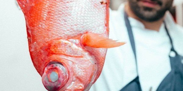 La revolución del tiempo: La maduración de pescados redefine la alta cocina en el Pacífico y la Amazonía