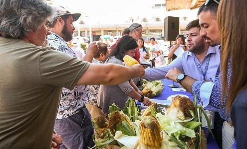 El Festival del Choclo 2026 rinde tributo al "Grano de Oro" de los Andes peruanos