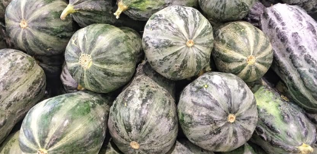 El Zapallo Loche: El ingrediente milenario que define el ADN de la gastronomía del norte peruano