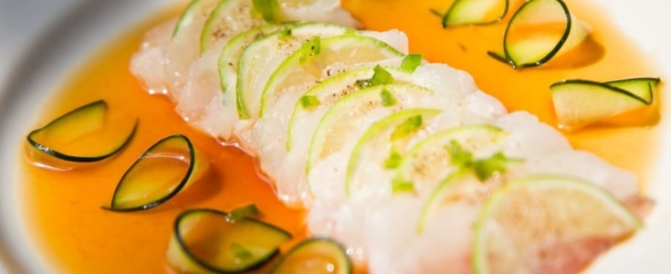 El Tiradito 2026: La evolución de un icono que fusiona el legado prehispánico con la vanguardia vegetal