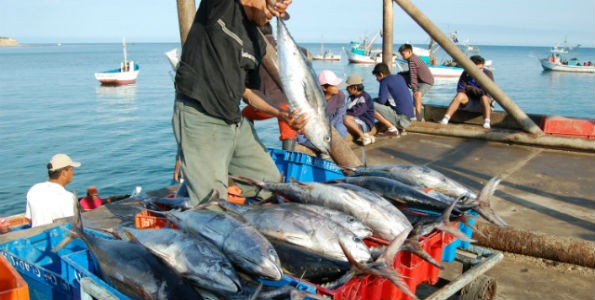 Más pesca internacional en 2014