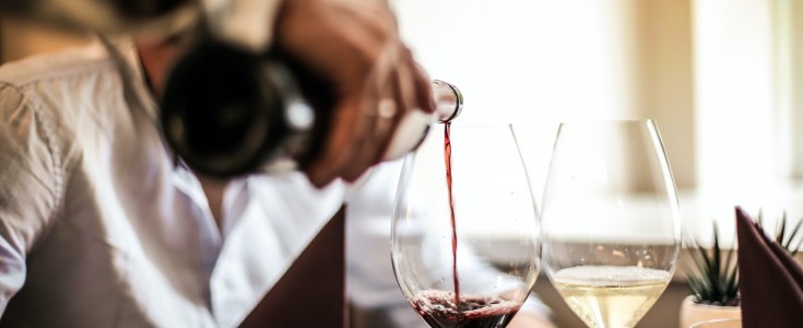 Catas magistrales alrededor del mundo y 20 experiencias más entorno al vino en MF The Wine Edition