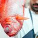 La revolución del tiempo: La maduración de pescados redefine la alta cocina en el Pacífico y la Amazonía