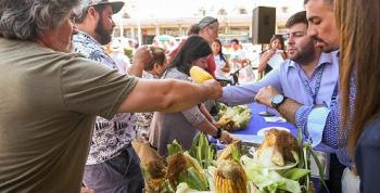 El Festival del Choclo 2026 rinde tributo al "Grano de Oro" de los Andes peruanos