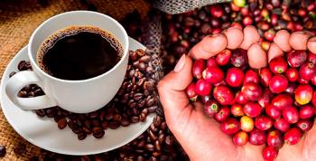El Café Peruano Conquista el Mundo: Aumento de Exportaciones y Reconocimiento Internacional