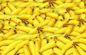 Todo lo que hay que saber del plátano